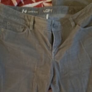 LOFT Charcoal Trousers Curvy Boot Corduroy